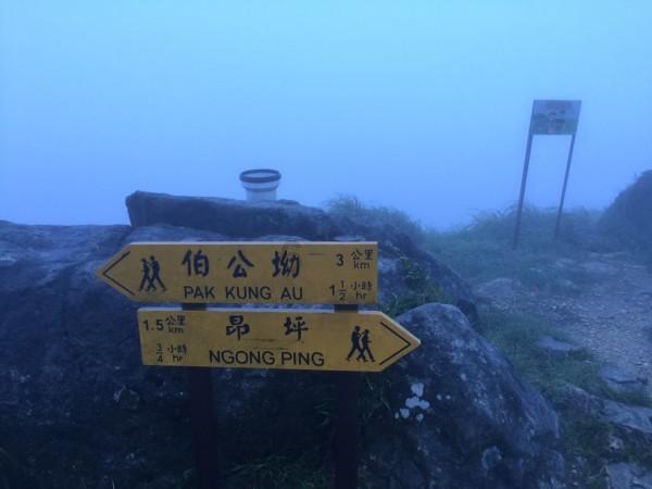 什么是间接引语和直接引语啊游戏画面
